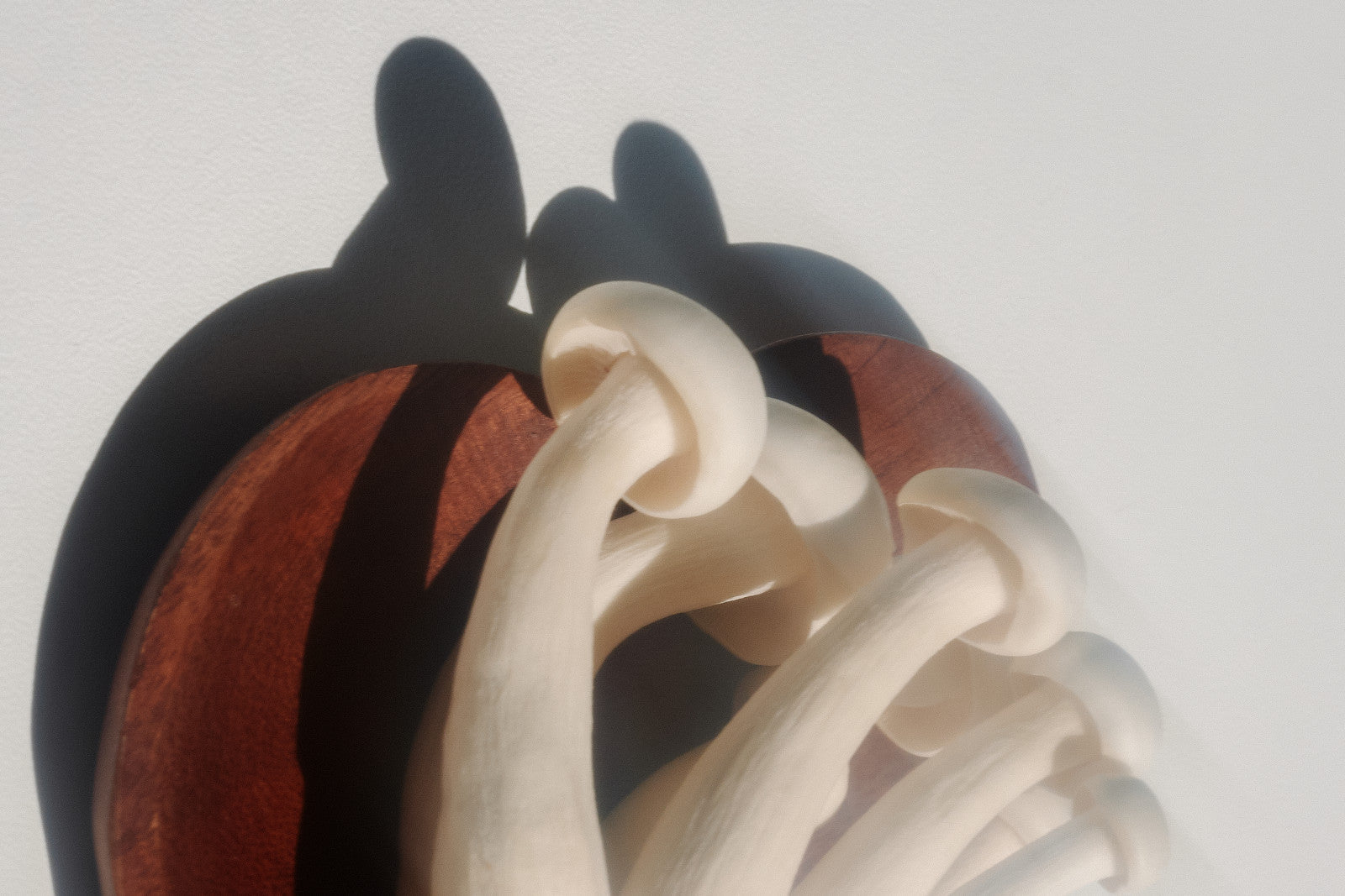 Fresh Mushrooms Are More Than a Wellness Trend