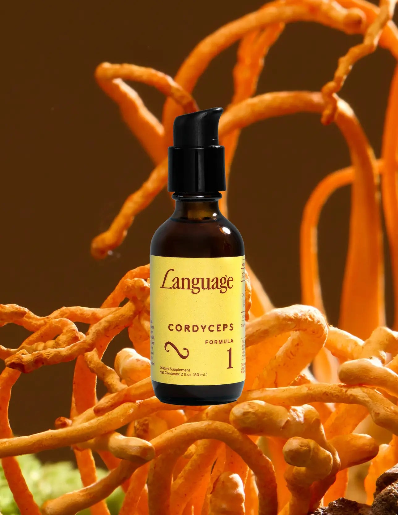 Cordyceps Formula No. 01