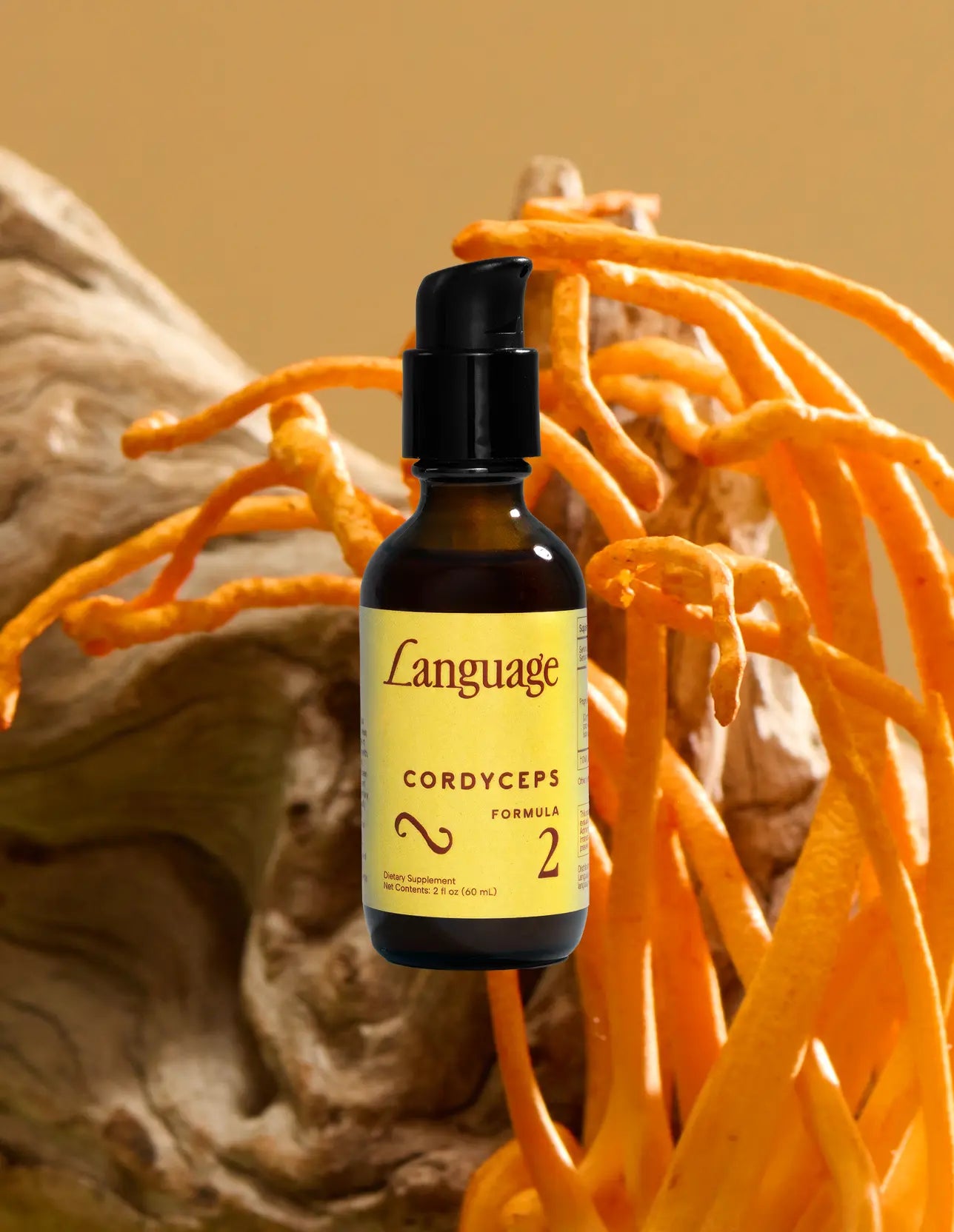 Cordyceps Formula 02
