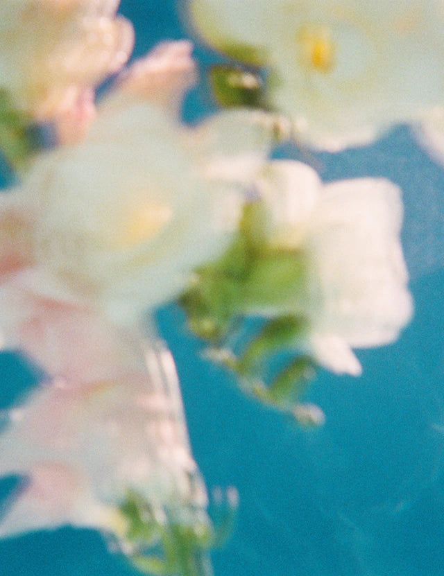 Florals.webp