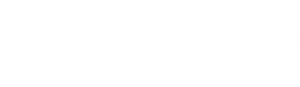 Language logo