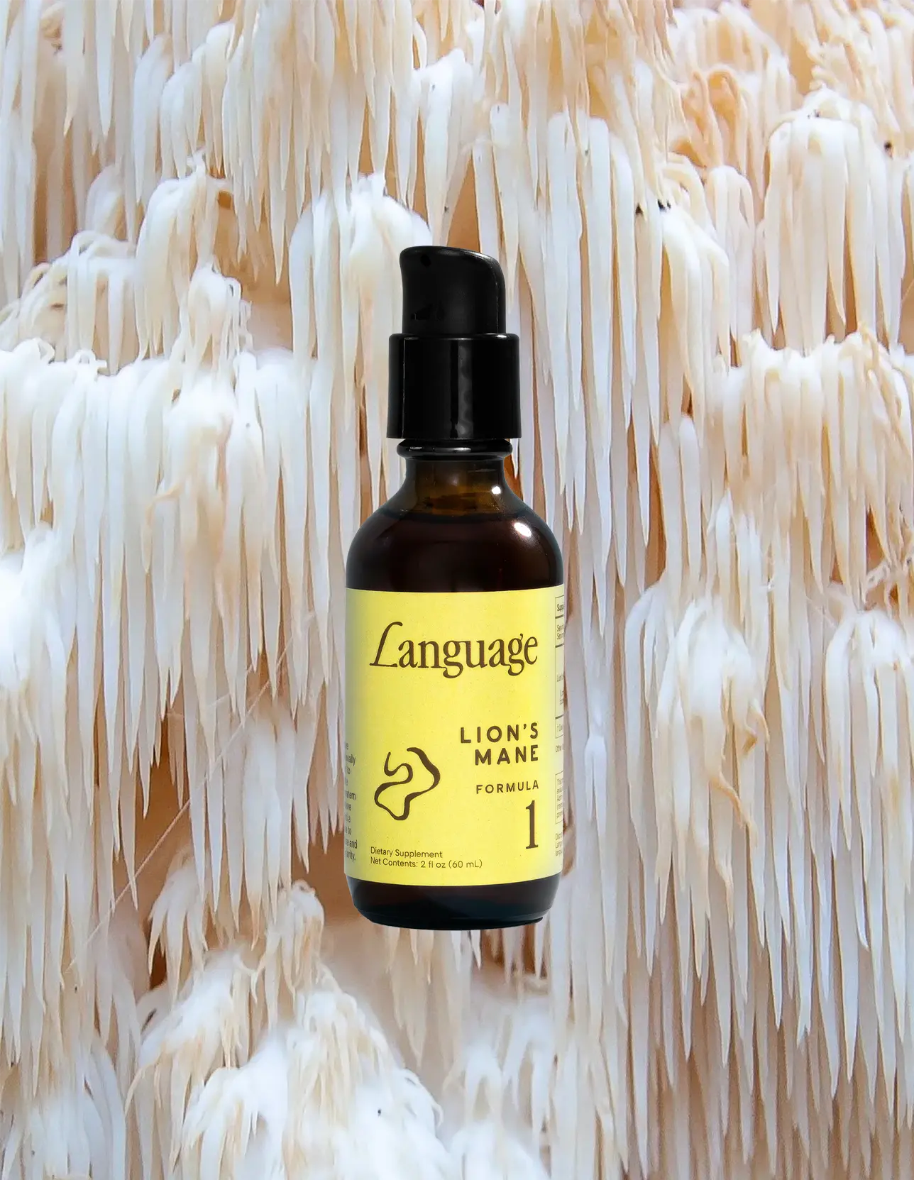 Lion's Mane Formula No. 01