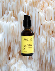 Lion's Mane Formula No. 01