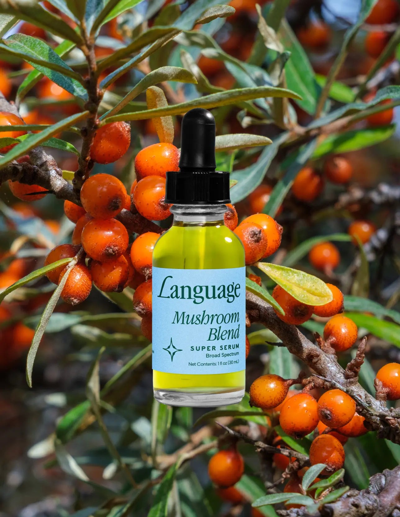 Mushroom Blend Super Serum