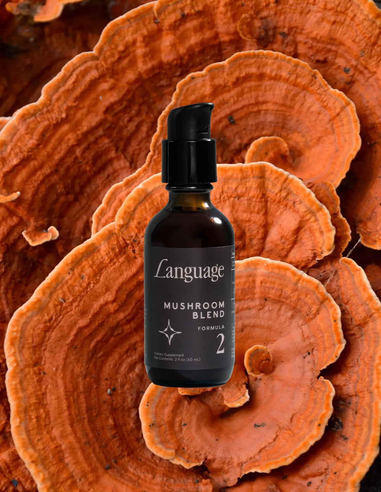 Mushroom Blend Formula No. 02
