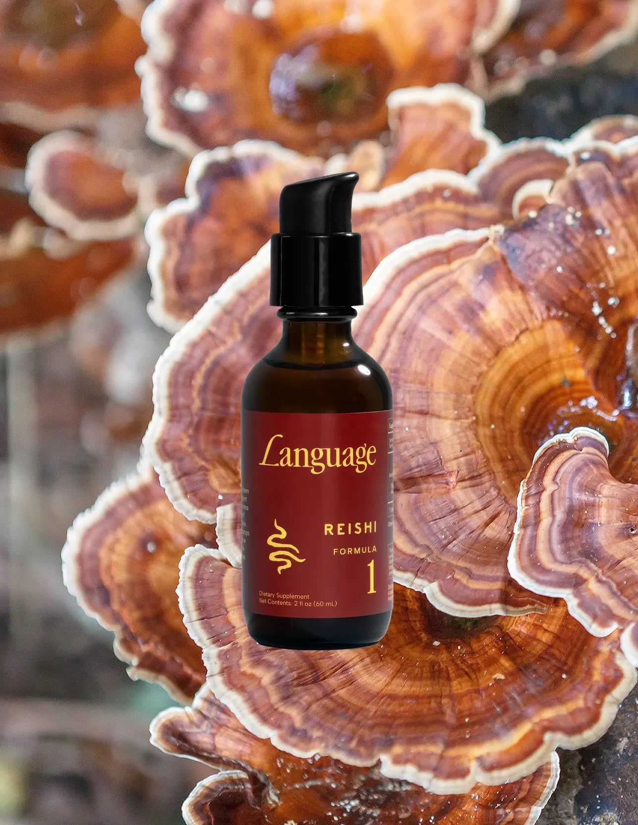 Reishi Formula No. 01 | Language Skincare