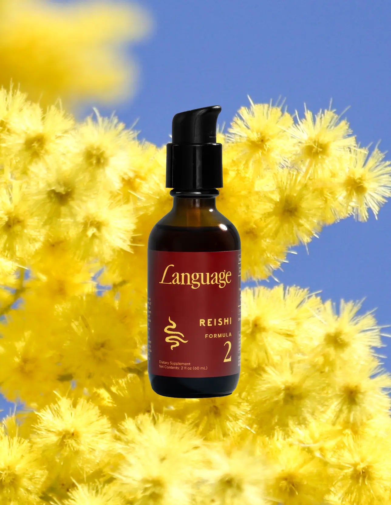 Reishi Formula No. 02 | Language Skincare