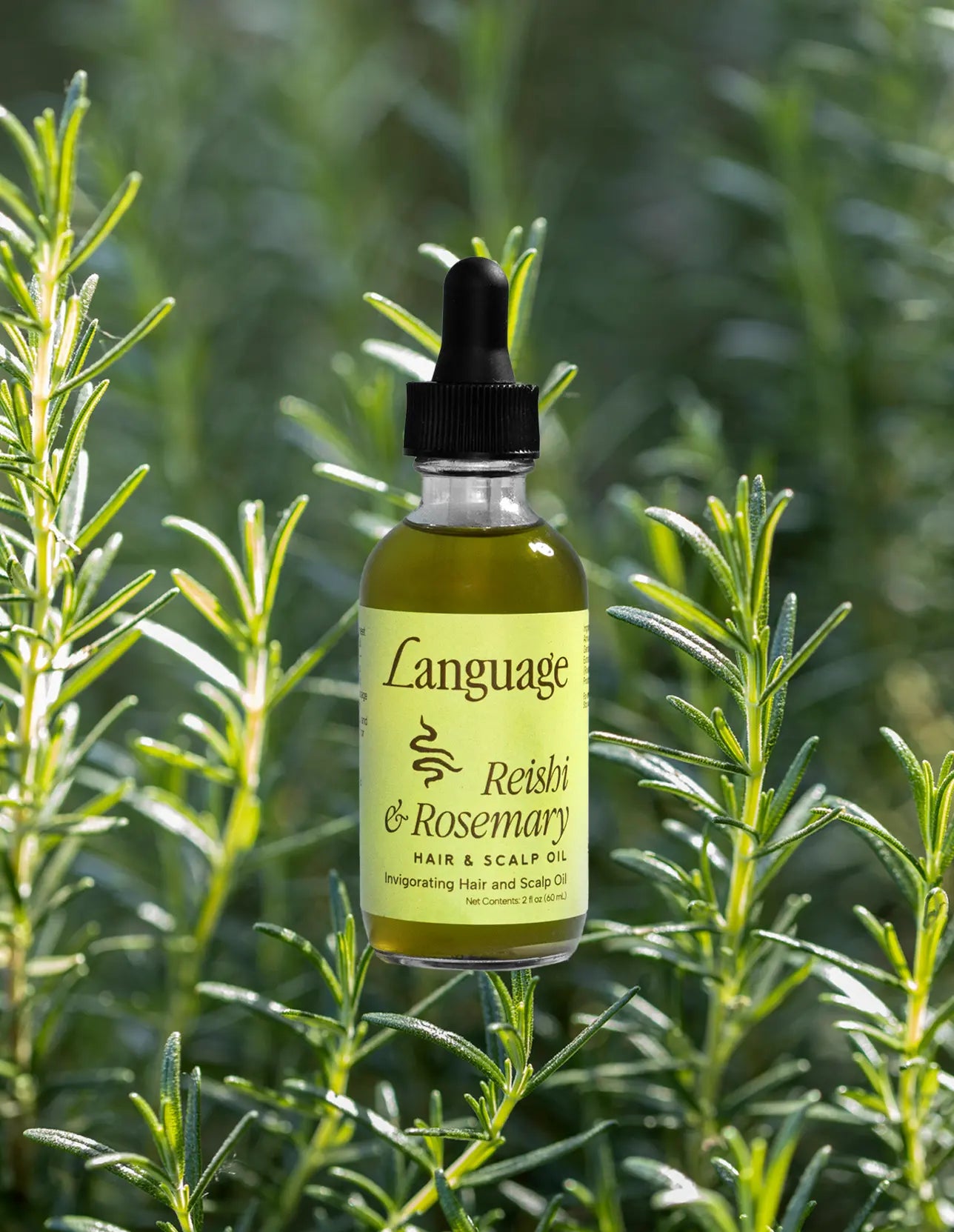 Reishi & Rosemary Hair & Scalp Oil