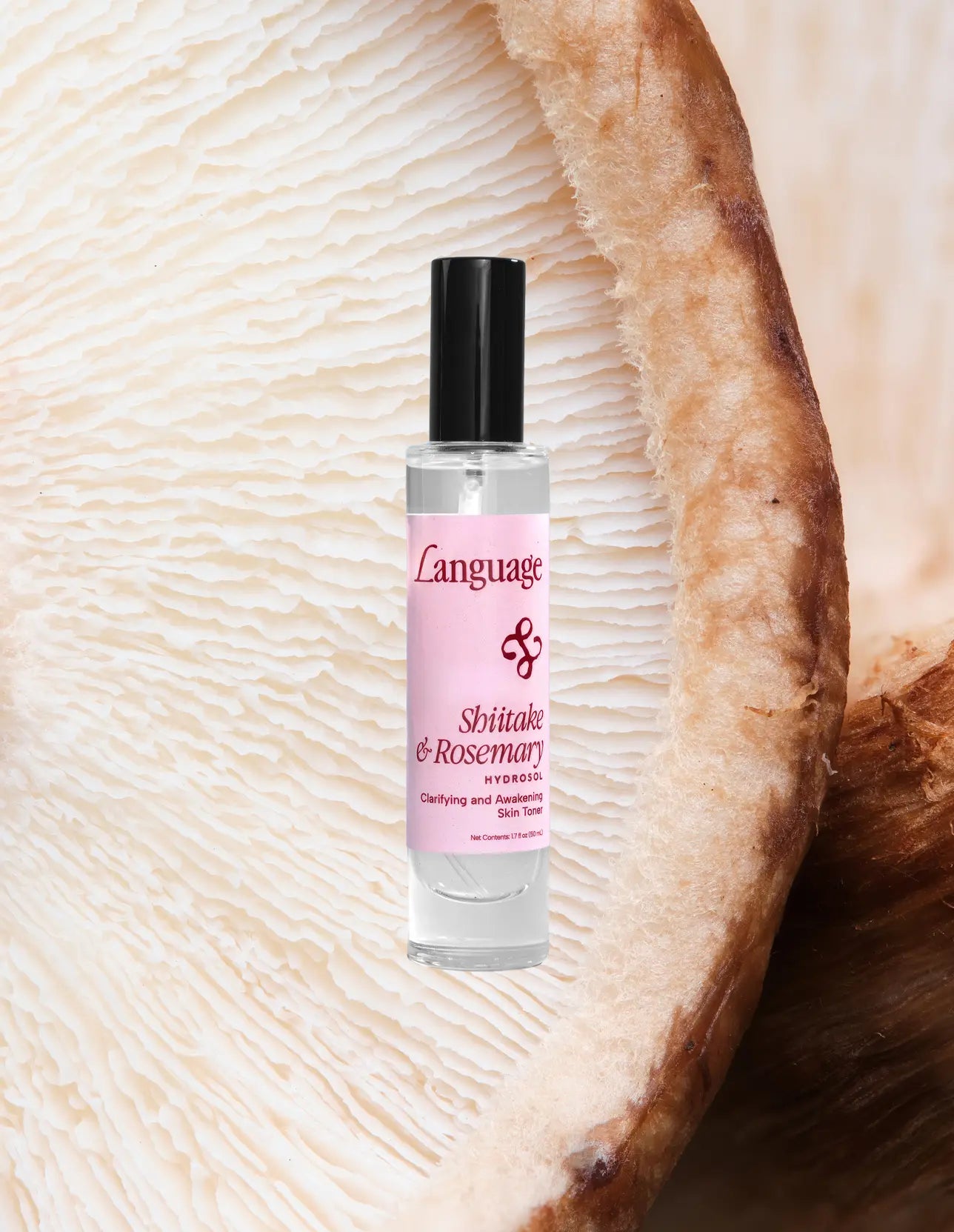 Shiitake & Rosemary Hydrosol
