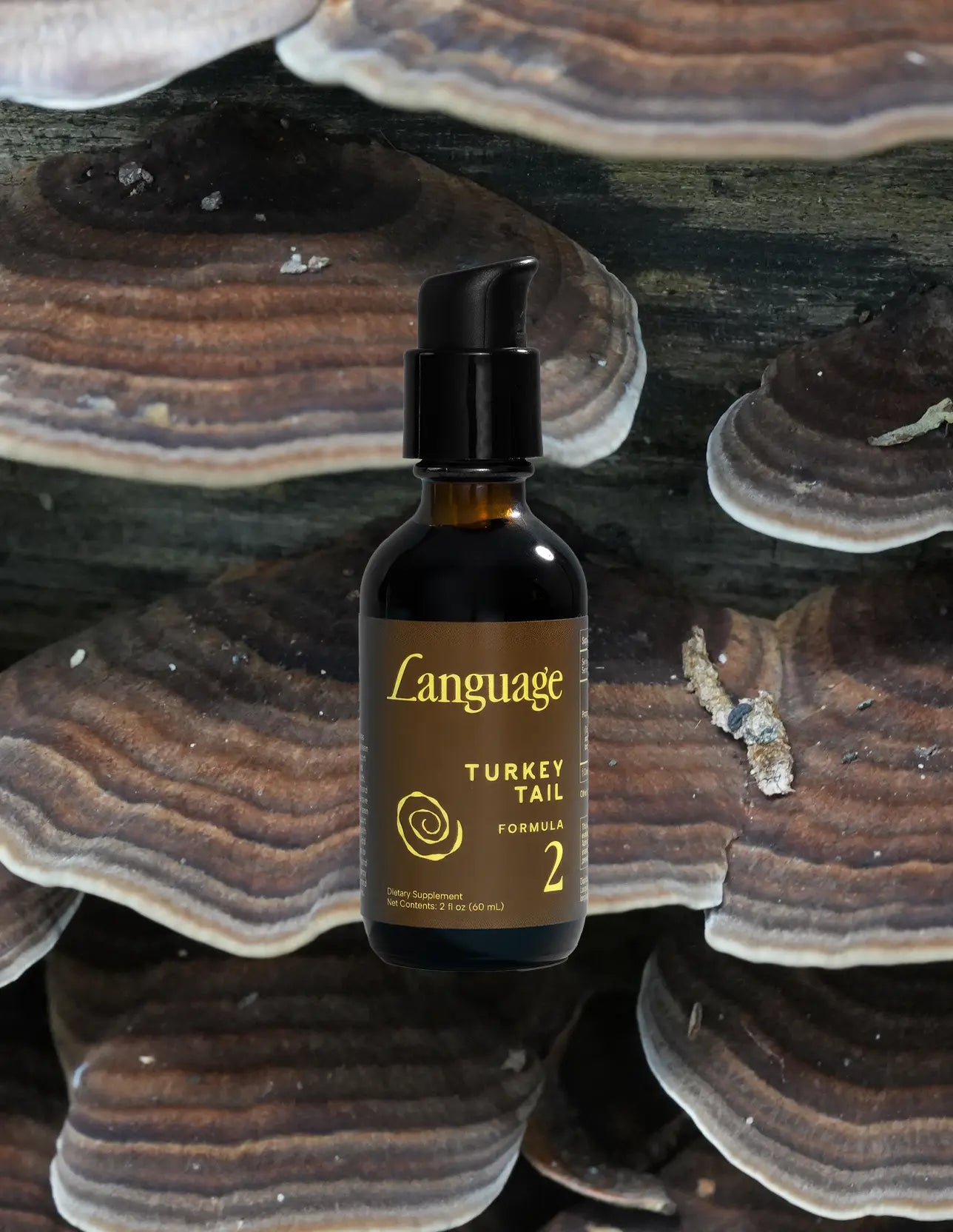 Turkey Tail Formula No. 02