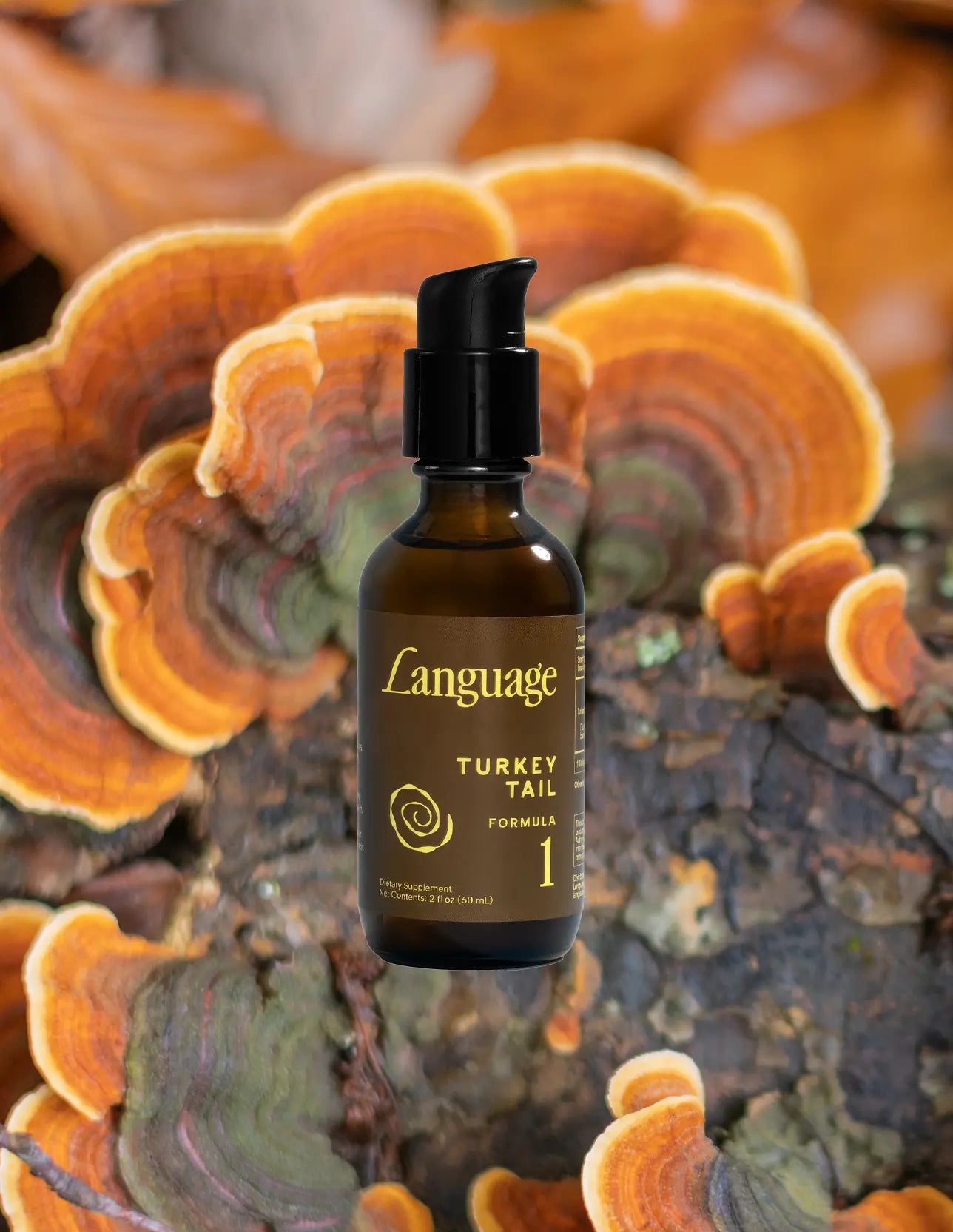 Turkey Tail Formula No. 01