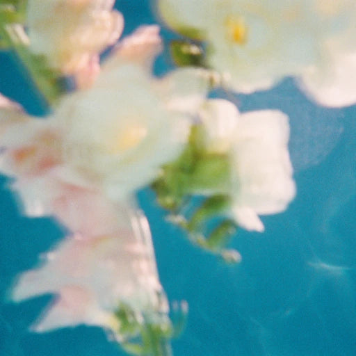 Language brand lifestyle image: white flowers floating on blue water, soft focus